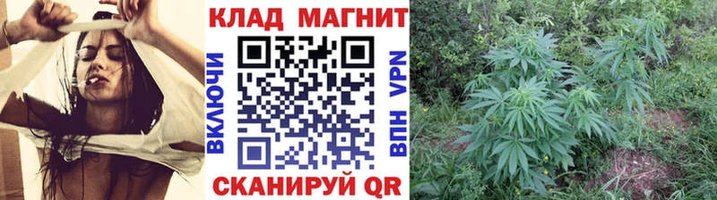 Все наркотики Лахденпохья Alpha-PVP  MEGA ONION  Гашиш  Марихуана  Мефедрон  Галлюциногенные грибы 