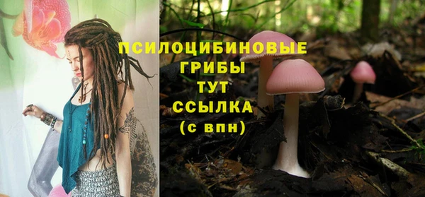 прущие грибы Алексеевка